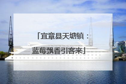 宜章县天塘镇：蓝莓飘香引客来