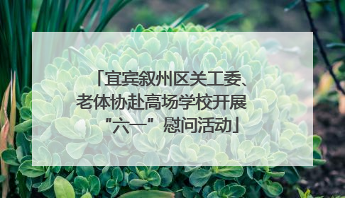 宜宾叙州区关工委、老体协赴高场学校开展“六一”慰问活动