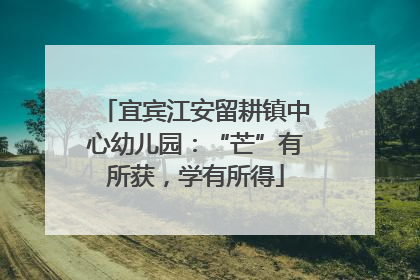 宜宾江安留耕镇中心幼儿园：“芒”有所获，学有所得