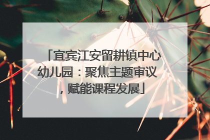 宜宾江安留耕镇中心幼儿园：聚焦主题审议，赋能课程发展
