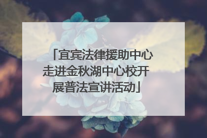 宜宾法律援助中心走进金秋湖中心校开展普法宣讲活动