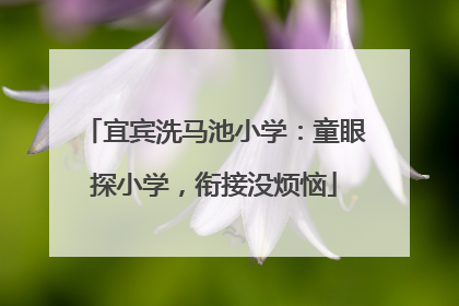 宜宾洗马池小学：童眼探小学，衔接没烦恼
