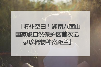 填补空白！湖南八面山国家级自然保护区首次记录珍稀物种宽距兰