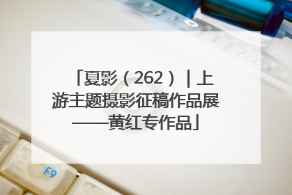 夏影（262）｜上游主题摄影征稿作品展——黄红专作品