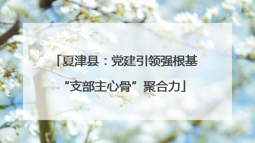 夏津县：党建引领强根基 “支部主心骨”聚合力