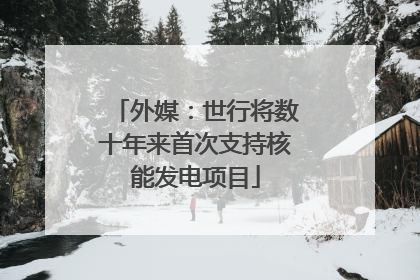 外媒：世行将数十年来首次支持核能发电项目