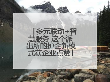 多元联动+智慧服务 这个派出所的护企新模式获企业点赞