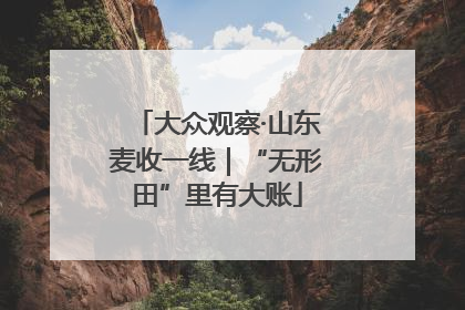 大众观察·山东麦收一线｜“无形田”里有大账