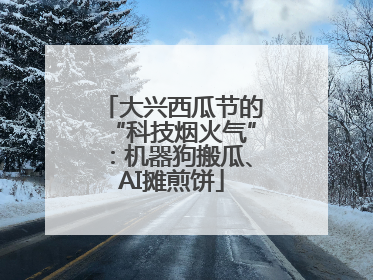 大兴西瓜节的“科技烟火气”：机器狗搬瓜、AI摊煎饼