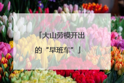 大山劳模开出的“早班车”