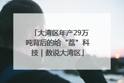 大湾区年产29万吨背后的给“荔”科技｜数说大湾区