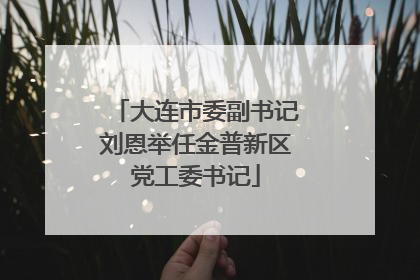 大连市委副书记刘恩举任金普新区党工委书记