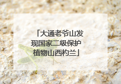 大通老爷山发现国家二级保护植物山西杓兰