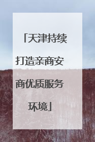 天津持续打造亲商安商优质服务环境