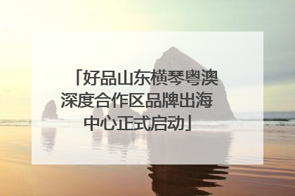 好品山东横琴粤澳深度合作区品牌出海中心正式启动