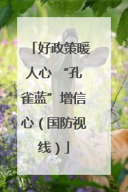 好政策暖人心 “孔雀蓝”增信心（国防视线）