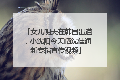 女儿明天在韩国出道，小沈阳今天晒沈佳润新专辑宣传视频