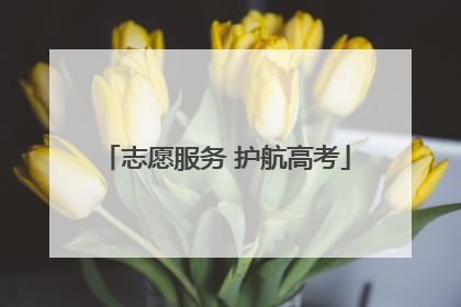 志愿服务 护航高考