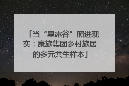 当“星露谷”照进现实：康旅集团乡村旅居的多元共生样本