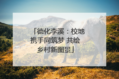 德化李溪：校地携手同筑梦 共绘乡村新图景