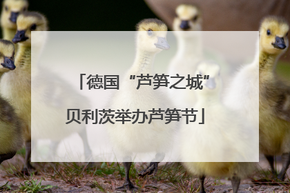 德国“芦笋之城”贝利茨举办芦笋节