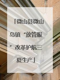 微山县微山岛镇“放管服”改革护航三夏生产