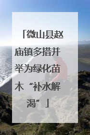 微山县赵庙镇多措并举为绿化苗木“补水解渴”