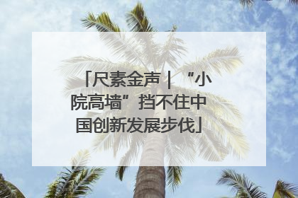 尺素金声｜“小院高墙”挡不住中国创新发展步伐
