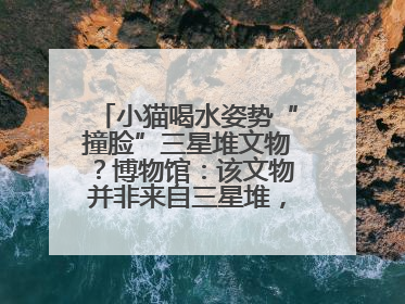 小猫喝水姿势“撞脸”三星堆文物？博物馆：该文物并非来自三星堆，有可能是它