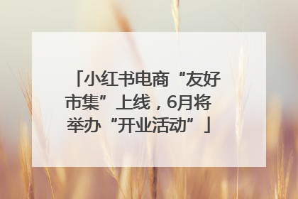 小红书电商“友好市集”上线，6月将举办“开业活动”