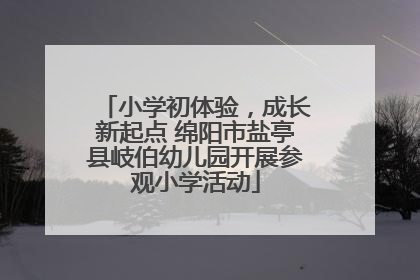 小学初体验，成长新起点 绵阳市盐亭县岐伯幼儿园开展参观小学活动