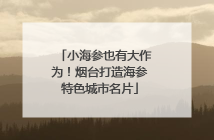 小海参也有大作为！烟台打造海参特色城市名片