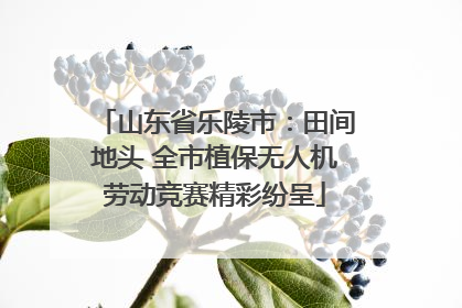 山东省乐陵市：田间地头 全市植保无人机劳动竞赛精彩纷呈