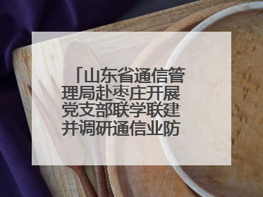 山东省通信管理局赴枣庄开展党支部联学联建并调研通信业防汛准备工作
