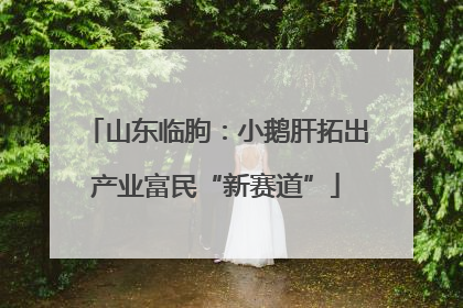 山东临朐：小鹅肝拓出产业富民“新赛道”