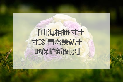 山海相拥·寸土寸珍 青岛绘就土地保护新图景