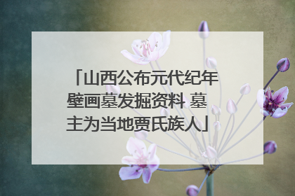 山西公布元代纪年壁画墓发掘资料 墓主为当地贾氏族人