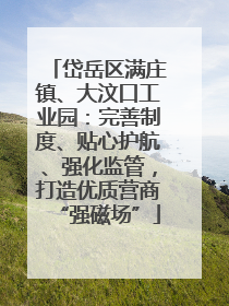 岱岳区满庄镇、大汶口工业园：完善制度、贴心护航、强化监管，打造优质营商“强磁场”