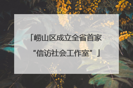 崂山区成立全省首家“信访社会工作室”