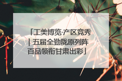 工美博览·产区竞秀｜五届全勤陇原列阵 百品领衔甘肃出彩