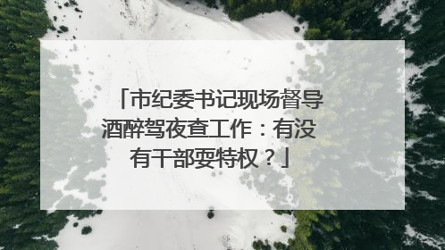 市纪委书记现场督导酒醉驾夜查工作：有没有干部耍特权？