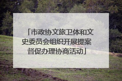 市政协文旅卫体和文史委员会组织开展提案督促办理协商活动