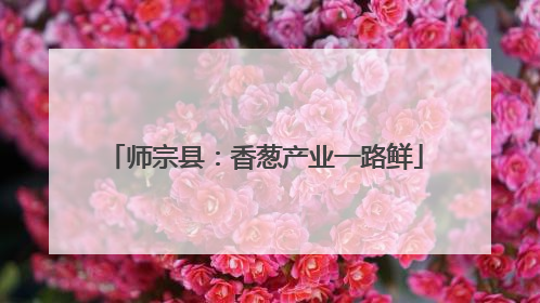 师宗县：香葱产业一路鲜
