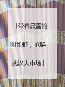 带着晨露的阳新虾，抢鲜武汉大市场