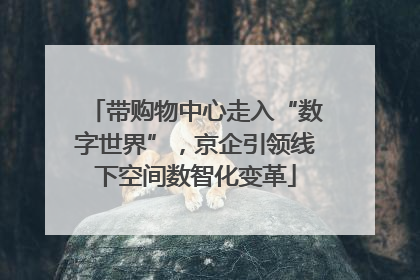 带购物中心走入“数字世界”，京企引领线下空间数智化变革