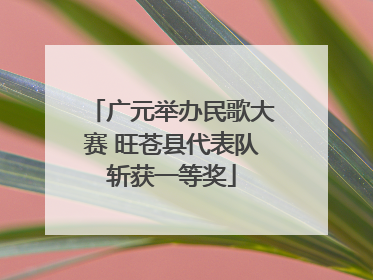 广元举办民歌大赛 旺苍县代表队斩获一等奖
