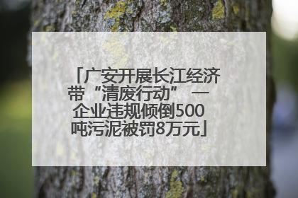 广安开展长江经济带“清废行动” 一企业违规倾倒500吨污泥被罚8万元