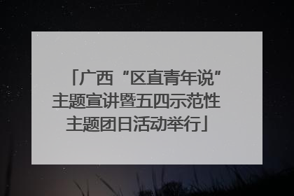 广西“区直青年说”主题宣讲暨五四示范性主题团日活动举行