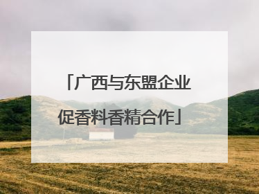 广西与东盟企业促香料香精合作
