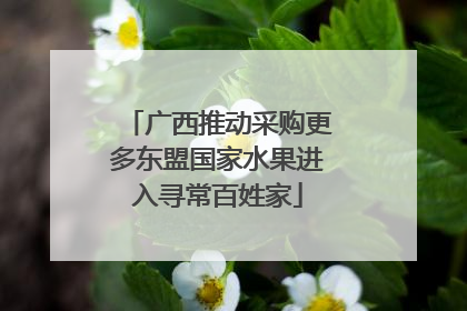 广西推动采购更多东盟国家水果进入寻常百姓家